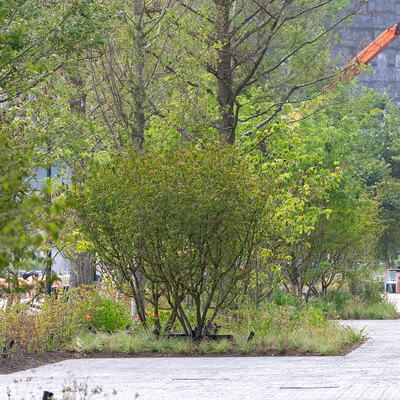 Fenix Kunstmuseum Rotterdam